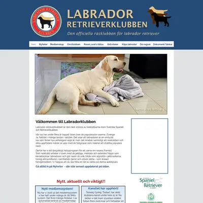 Labradoren startsida 2024