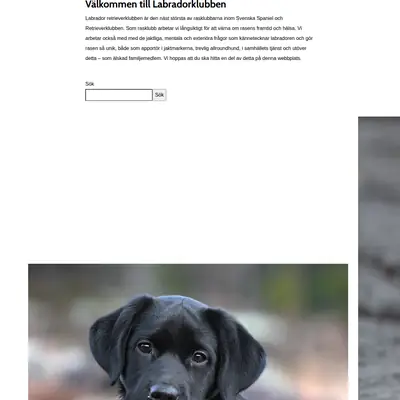 Labradoren startsida 2026