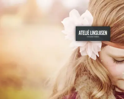 Linslusen startsida 2018
