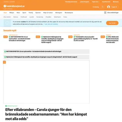 ljusnan.se startsida 2020