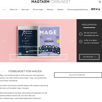 Allt om mage startsida 2022