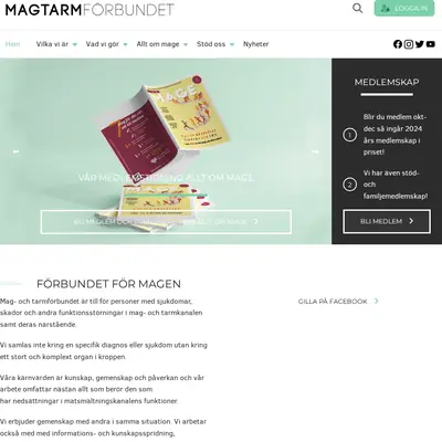 Allt om mage startsida 2024