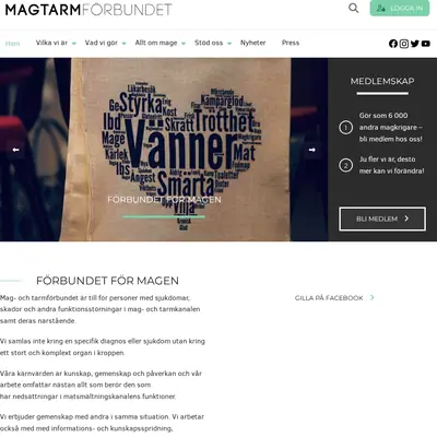 Allt om mage startsida 2025