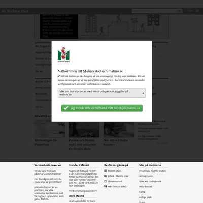 Malmo.com startsida 2019