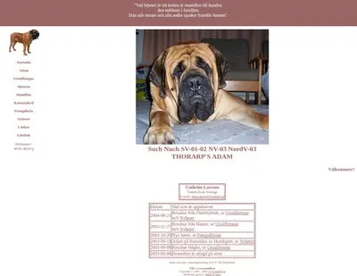 Mastiff Bladet startsida 2007