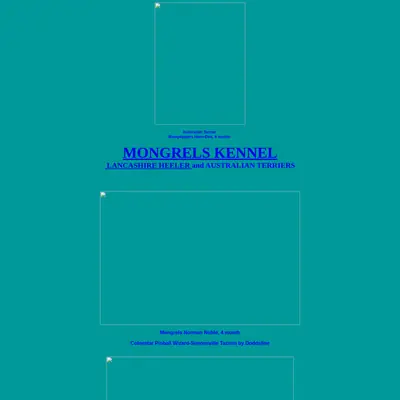 Bobtail startsida 2008