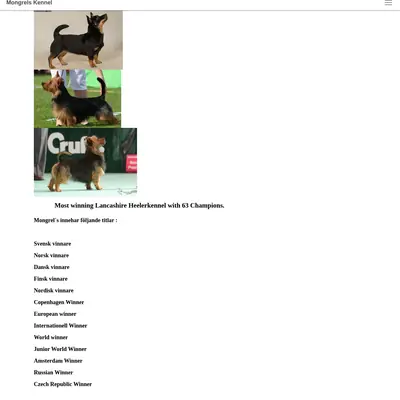 Bobtail startsida 2018