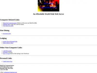 MULTINET startsida 1999
