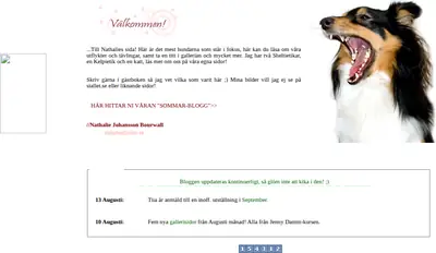 Nabo startsida 2007