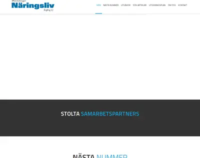 Affärstidningen Näringsliv startsida 2015