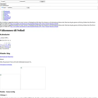 nellad.se startsida 2009