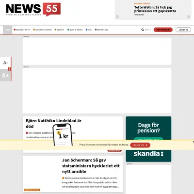 www.news55.se startsida 2022
