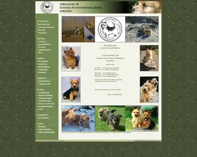 Norwichterrierposten startsida 2011