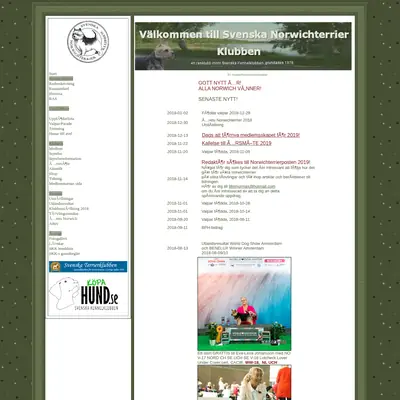 Norwichterrierposten startsida 2019