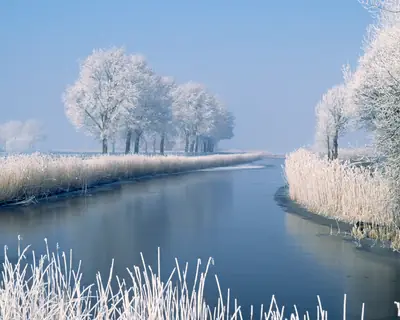 Norwichterrierposten startsida 2025