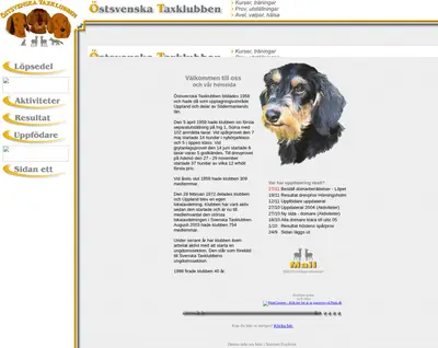 ostsvtaxar.se startsida 2004