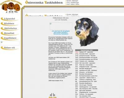 ostsvtaxar.se startsida 2006