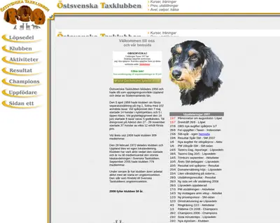 ostsvtaxar.se startsida 2008