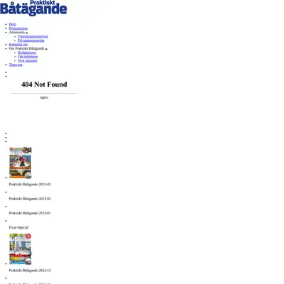 PRAKTISKT BÅTÄGANDE startsida 2013