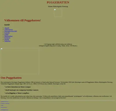 Puggehatten startsida 2003