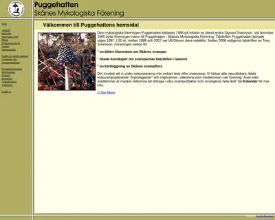 Puggehatten startsida 2008