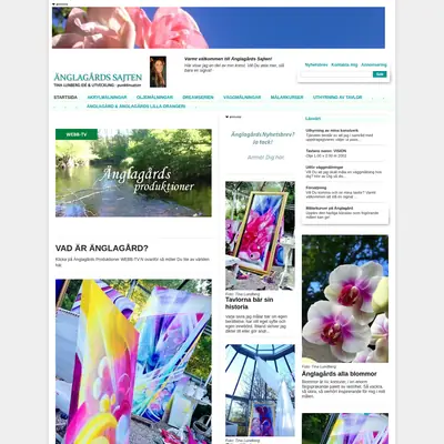www.punktinsatser.com startsida 2017