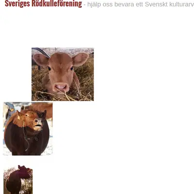 RÖDKULLAN startsida 2016