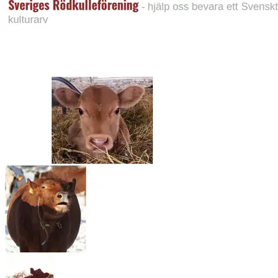 RÖDKULLAN startsida 2017