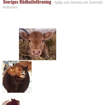 RÖDKULLAN startsida 2018