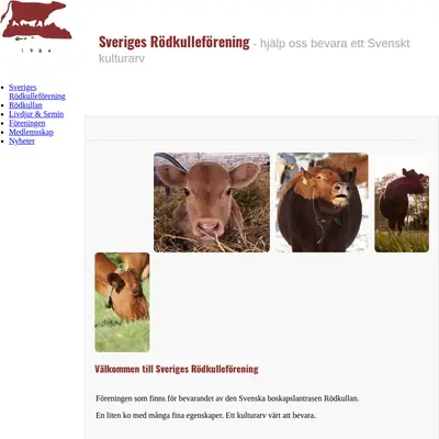 RÖDKULLAN startsida 2019