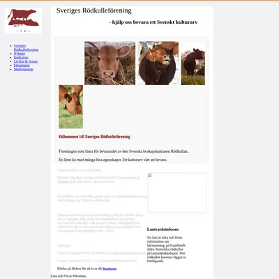 RÖDKULLAN startsida 2020