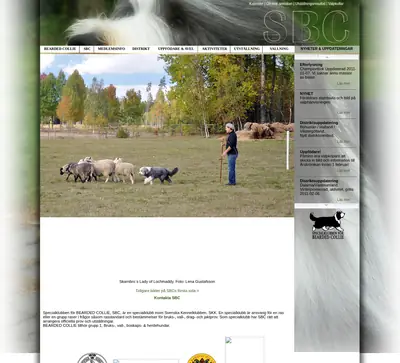 sbc-beardedcollie.com startsida 2011