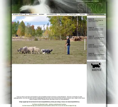 sbc-beardedcollie.com startsida 2014