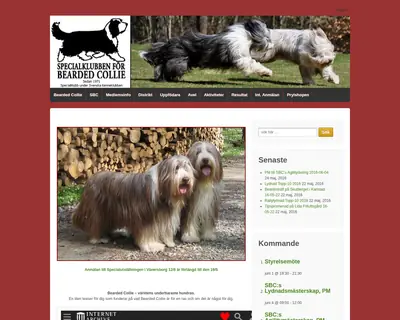 sbc-beardedcollie.com startsida 2016