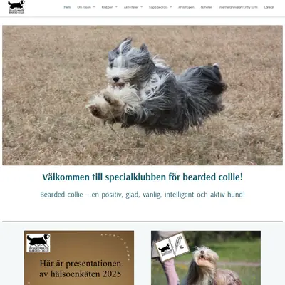 sbc-beardedcollie.com startsida 2026