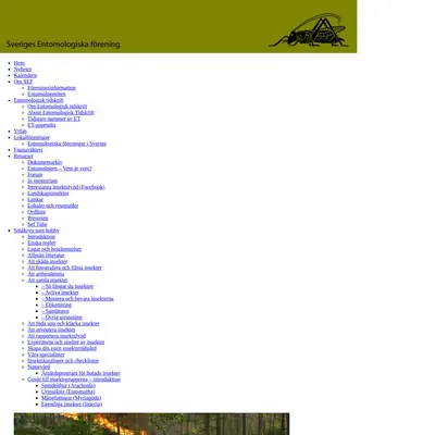Entomologisk Tidskrift startsida 2017