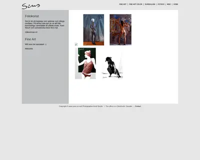 SENS startsida 2014