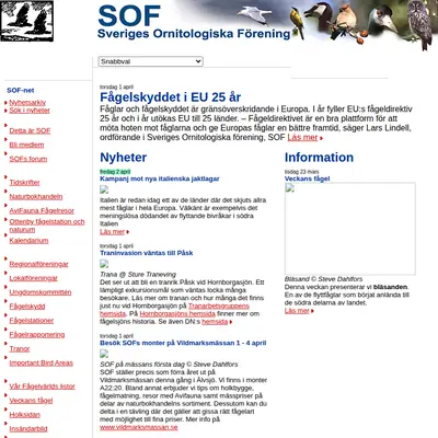 Vår Fågelvärld startsida 2004
