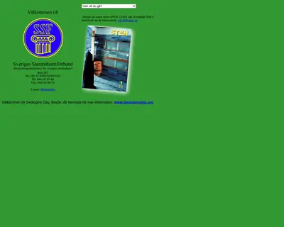 STEN startsida 2001
