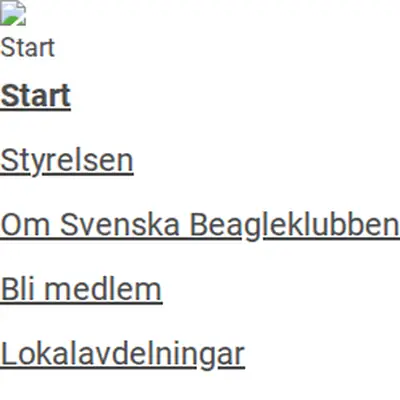 Beagle startsida 2025