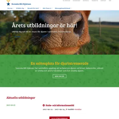 svenskablastjarnan.se startsida 2019