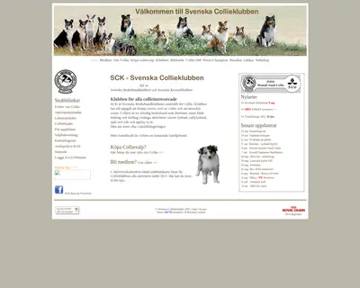 svenskacollieklubben.se startsida 2011