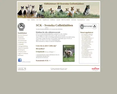svenskacollieklubben.se startsida 2013