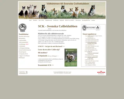 svenskacollieklubben.se startsida 2014