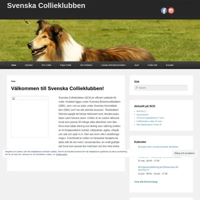 svenskacollieklubben.se startsida 2020