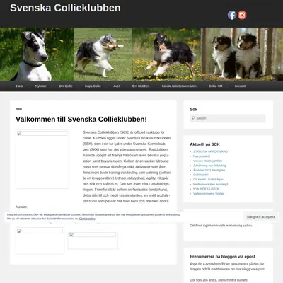 svenskacollieklubben.se startsida 2021
