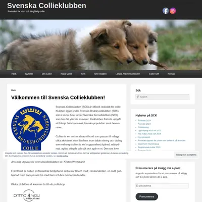 svenskacollieklubben.se startsida 2024