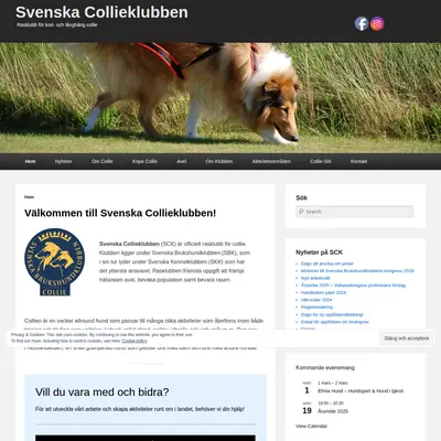 svenskacollieklubben.se startsida 2025
