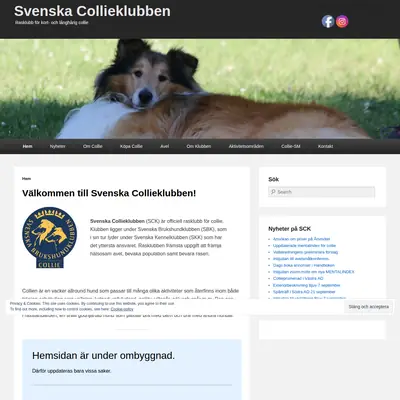 svenskacollieklubben.se startsida 2026