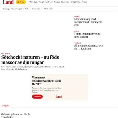 tidningenland.se startsida 2024
